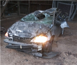 MEc688f271d0887fc57a5a5ba3008df3bf